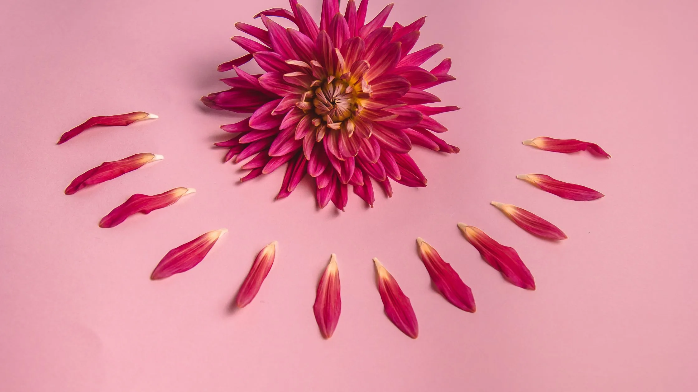 Read more about the article Vaginal dryness: causes and solutions